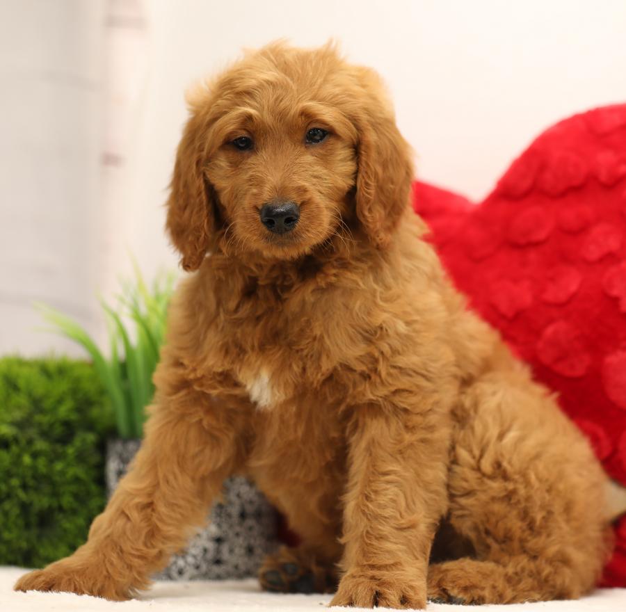 Ruby