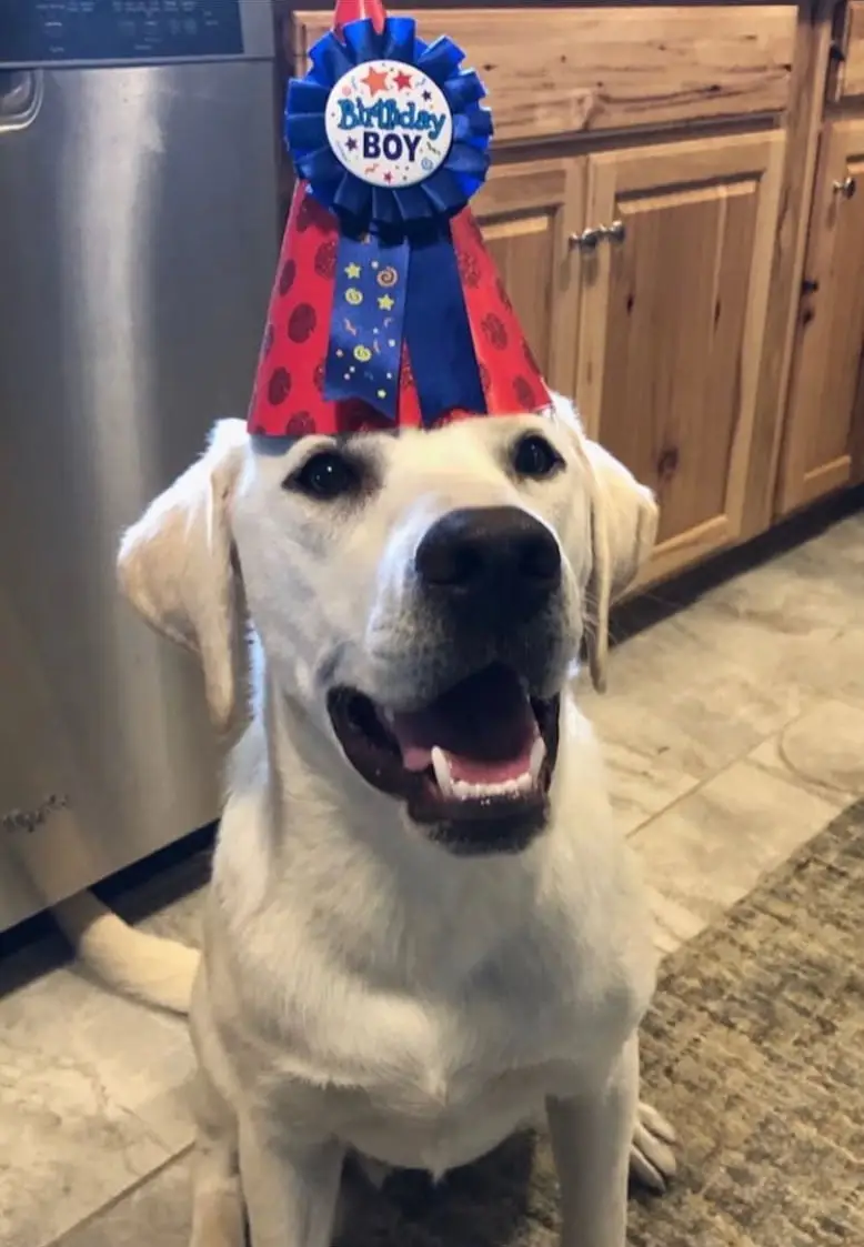 Happy Birthday Pup!